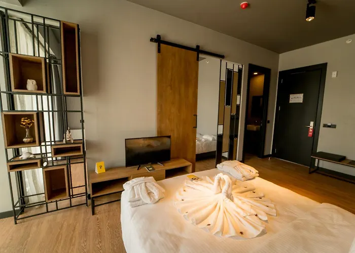 فندق The Loft قيصرية